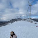 부일카월드 | 강원도 평창 아이랑 여행 서울역KTX - 진부역 : 평창 켄싱턴호텔 이용후기