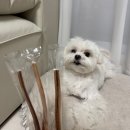 레이지키친 이미지