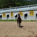 통도승마랜드 이미지