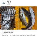 실비자연산횟집 | 횟집 업주들이 싫어할 횟집