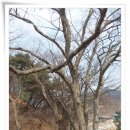 운학동 돌무지 이미지