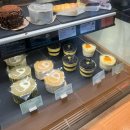 스타벅스성산일출봉점 | 제주 성산일출봉 뷰 맛집, 스타벅스 성산일출봉점 방문 후기!