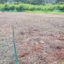 완전농장 이미지