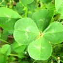 이광래내과의원 이미지