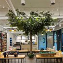 놀숲광양중마점 이미지