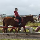 탐라승마장 이미지