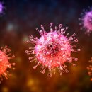 바이러스 이미지