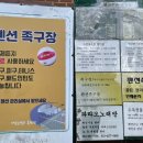 마운틴밸리관광펜션 이미지