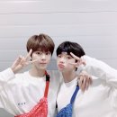 도레미 이미지