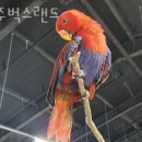 생용동키즈카페 광주벅스랜드 아이랑가볼만한곳