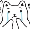 넬동물의료센터 이미지