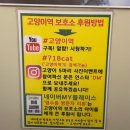 영흥면사무소 | [인천 영흥도]영흥도 가볼만한 곳 고양이 카페, 보호소 고양이 역 방문 후기 아이들,데이트 추천