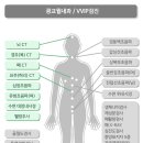 광교윌
