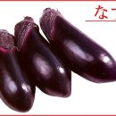 일단가자
