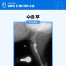 일곡동물병원 이미지