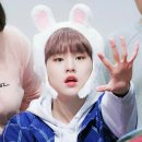 도현 이미지