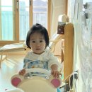 해정약국 | [14개월 아기] ㄷㄴㅂㅅ 등에 위치한 선천성 멜라닌 모반 절제술 및 소작술 수술후기