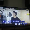 [망원] 소박하지만 일본감성 낭낭한 “히카리우동 망원점” 내돈내산 솔직후기