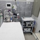 강동동물병원 이미지