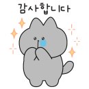 택형 이미지