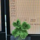 봉화당구장 이미지