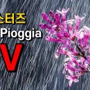 펄 시스터즈 [비] Pearl Sisters &#39;La Pioggia&#39; &#39;라 피오자&#39; &#39;Rain&#39; 배인순 배인숙 가사 한글자막 질리오라 칭 이미지