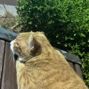 영서상회 이미지