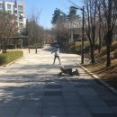 연의체육공원 이미지