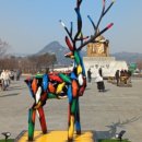 인앤박 번역행정사 사무소 이미지