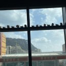 성산짬뽕 제주<b>짬뽕</b> <b>성산</b>일출봉 <b>성산</b><b>짬뽕</b>