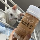 영어조합법인 동해안푸드 이미지