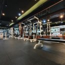 바디플라워 이미지