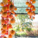 해돈농장 이미지