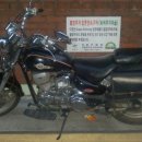 데이스타 이미지