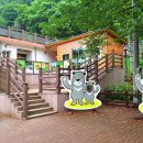 의신 베어빌리지 이미지