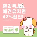 아이뽀 애견 유치원 호텔 | 용산 애견호텔 유치원 솔직 후기! 비용 고민된다면 켈리독!