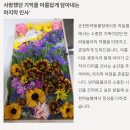 화순장례식장 | 순천 반려동물 장례식장 하늘별에서 고귀한 이별을 준비하세요