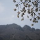 사계절 이미지