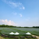 한종목장 이미지