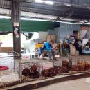 제주시민속오일시장 이미지