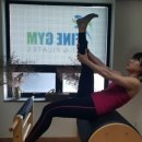 파인짐(FINE GYM) 네이버블로그