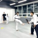 다오름태권도장 이미지