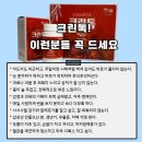 크린독 이미지