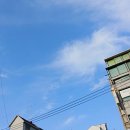 우영마트