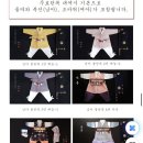 쇼콜라보람점 | 셀프돌상대여 돌잡이 플라워 쇼콜라베베 내돈내산 돌상후기
