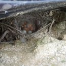 새인농장 이미지