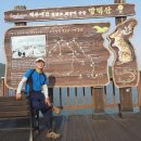 순천-29호 이미지
