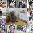 우리집작은정원가꾸기 이미지