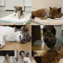 전진농장4 이미지