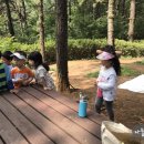 나들아이 이미지